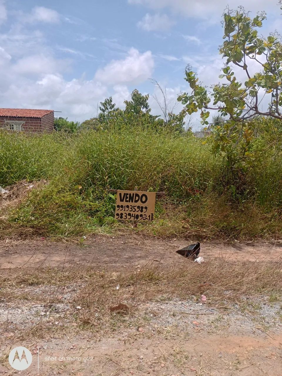 Foto - Goiana - 