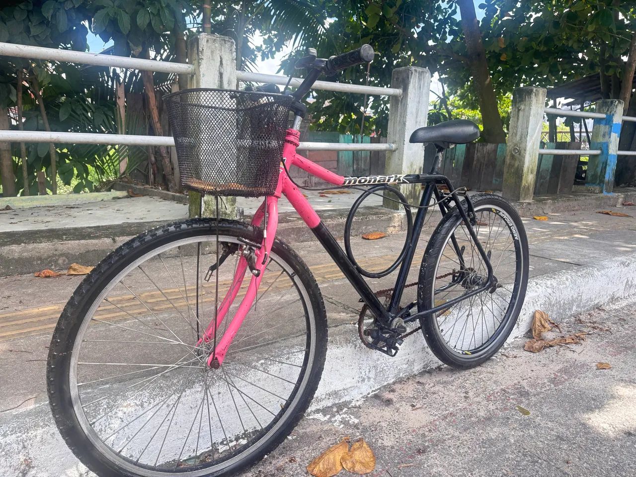 Baike monark