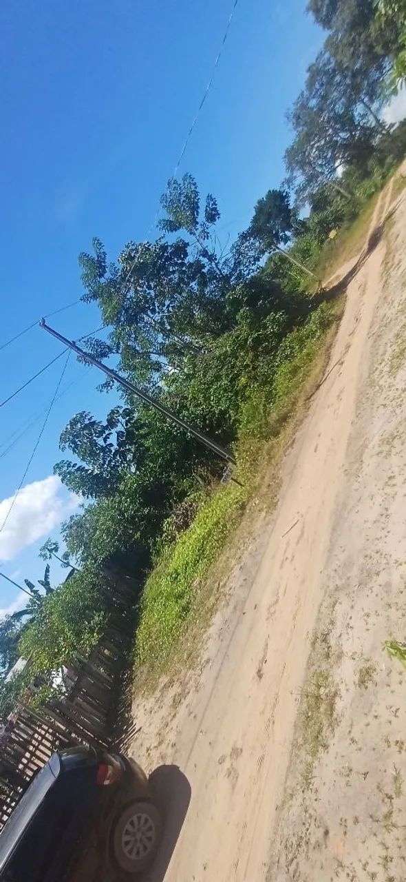 Terreno no Campo Novo - Foto 2