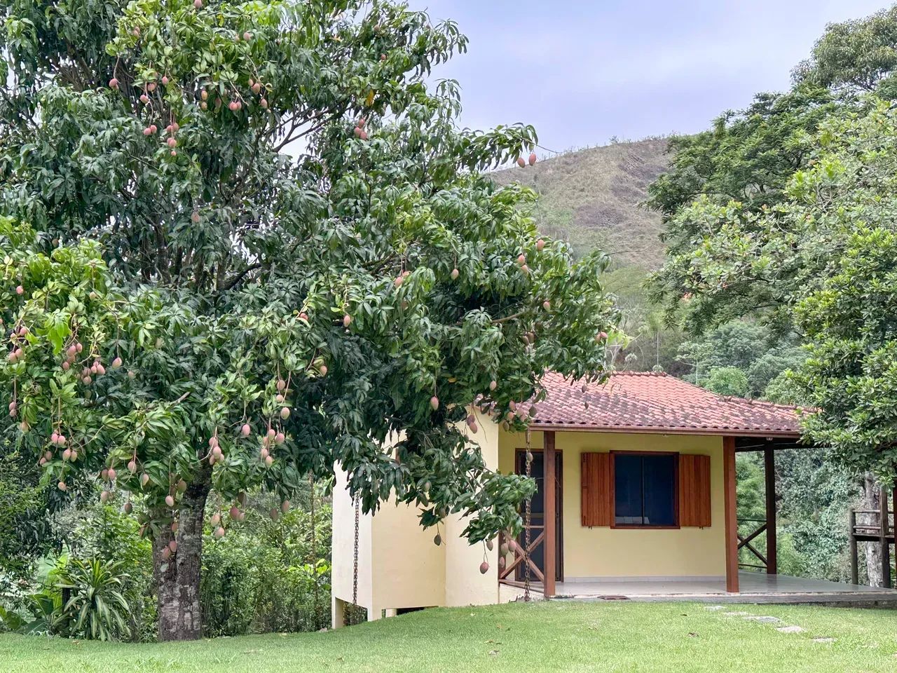 Fazenda/Sítio/Chácara para venda tem 3700 metros quadrados com 5 quartos - Foto 11