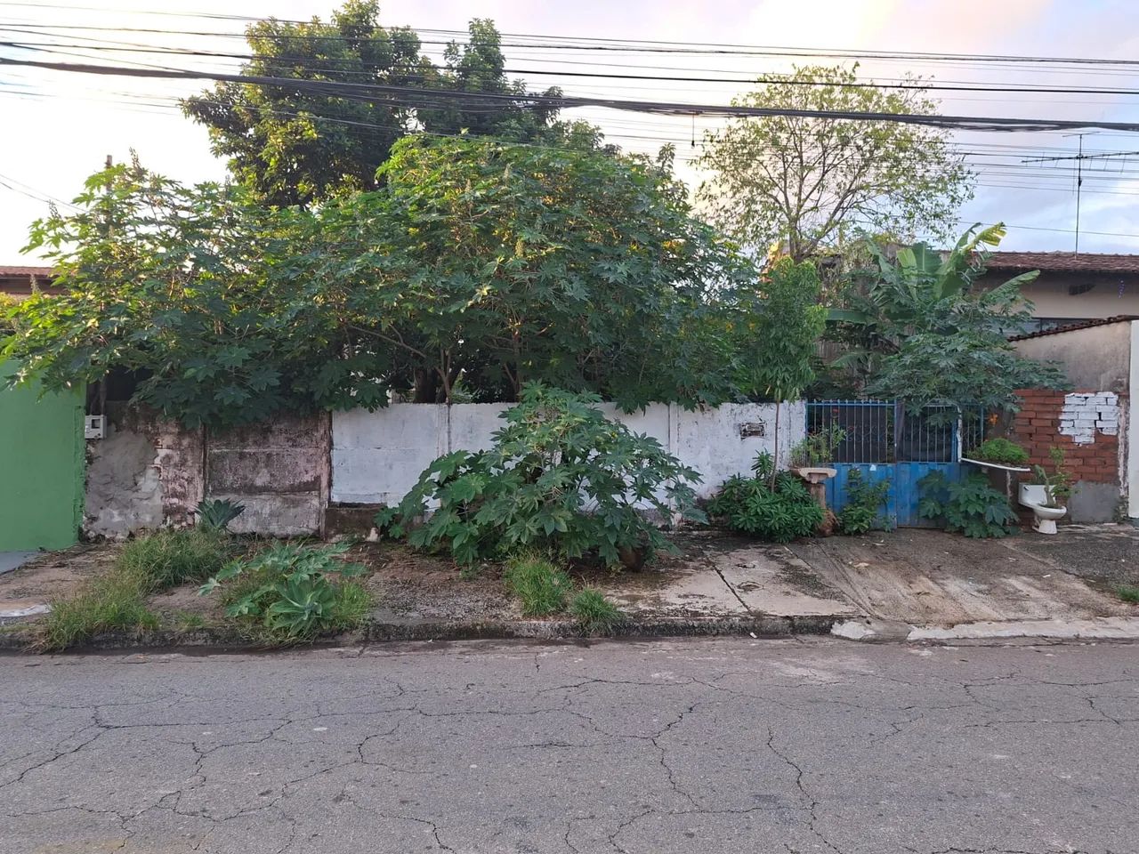 Lote - Jardim América