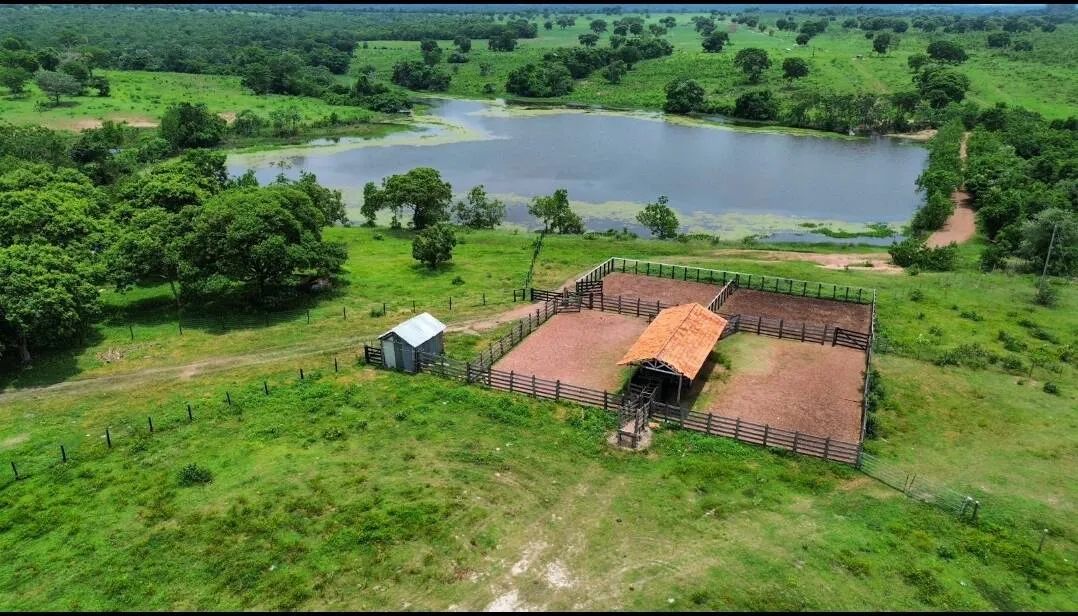 Fazenda a Venda de 646 Hectares próxima a Cuiaba MT - Foto 5