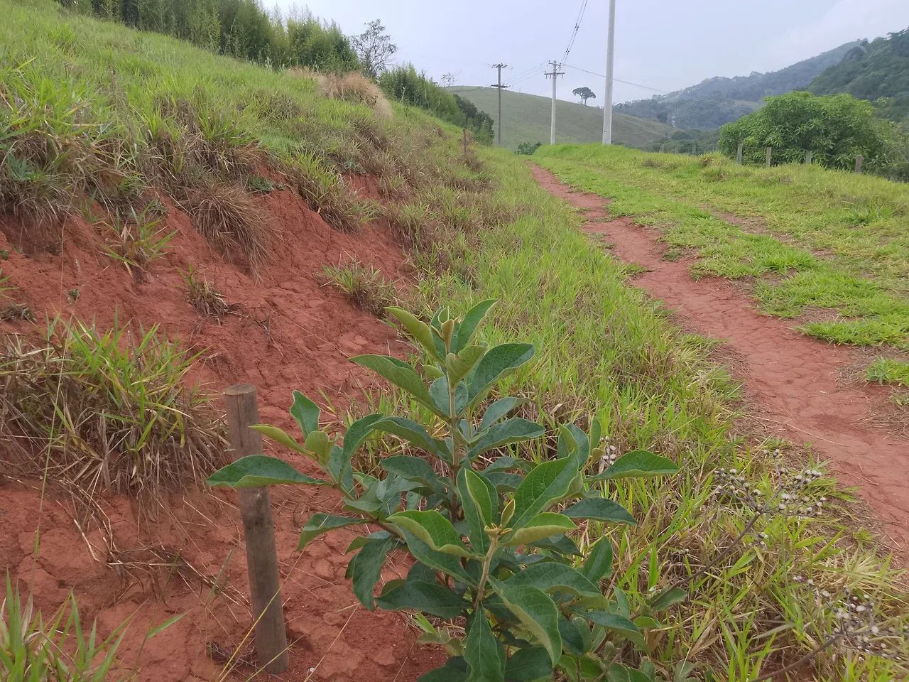 Vendo excelente terreno em Cunha sp  - Foto 3