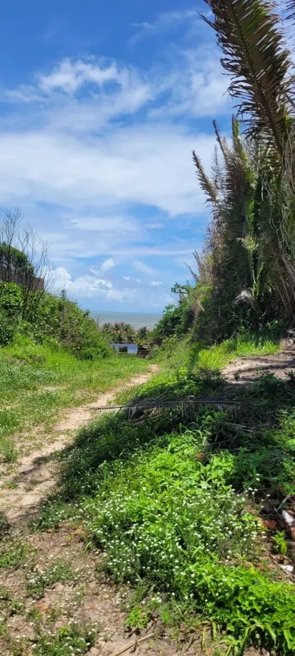 PRAIA DE PANAQUATIRA: Terreno à venda vista mar  Grande Ilha de São Luís. - Foto 11