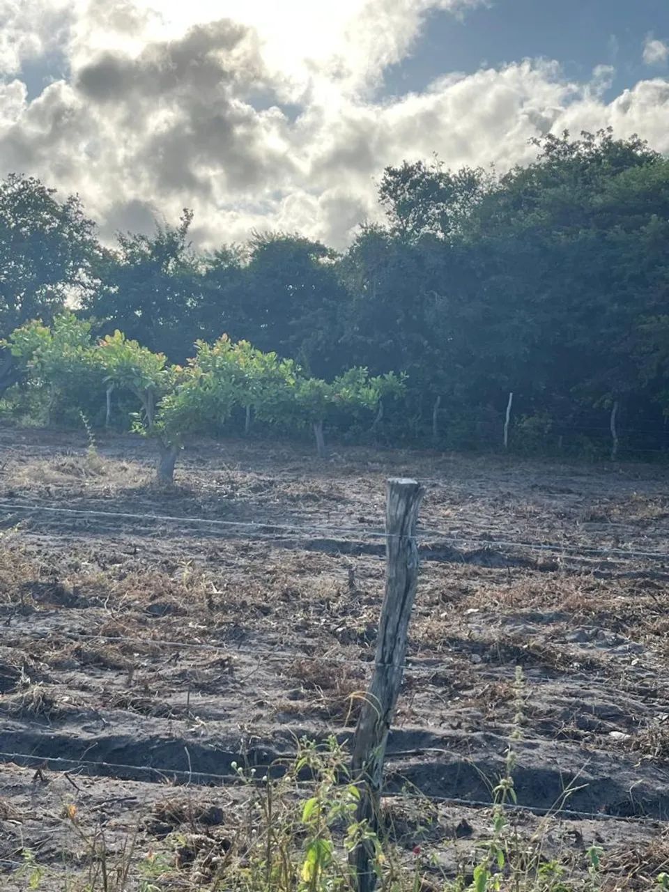 Terreno em Beberibe
