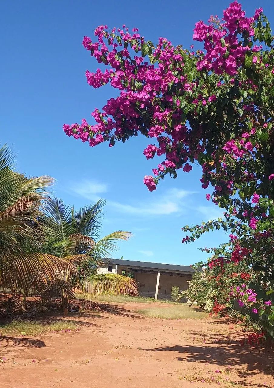 VENDO ÀREA DE LAZER - Foto 3