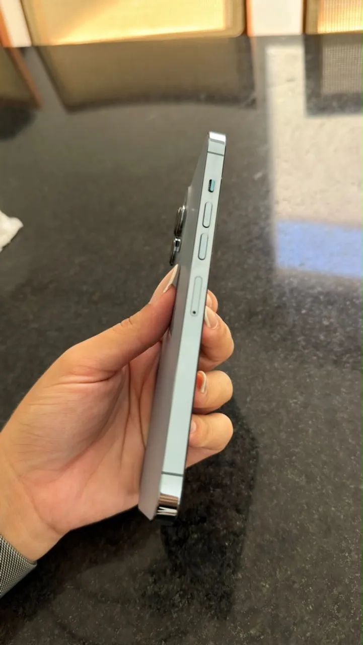 iPhone 13 Pro Max 256gb 