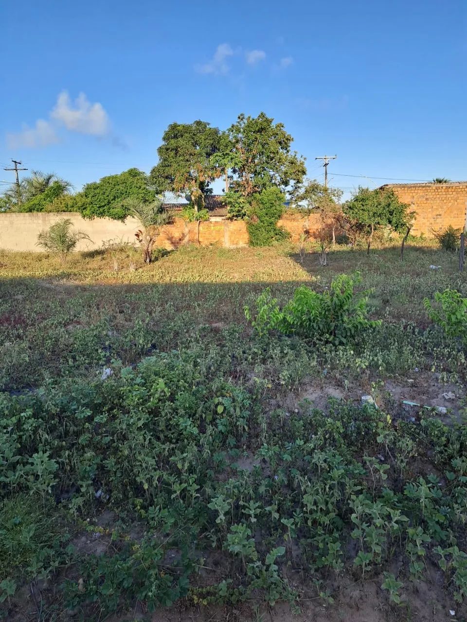 Foto - Feira de Santana - Jardim Cruzeiro