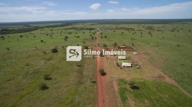 Venda Fazenda ÁREA RURAL DE LAGOA DA CONFUSÃO - Foto 5