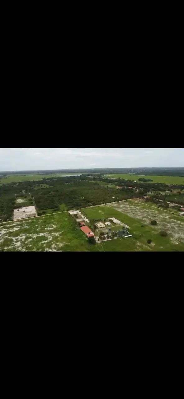 Haras com 15 hectares em PIMDORETAMA - Foto 2