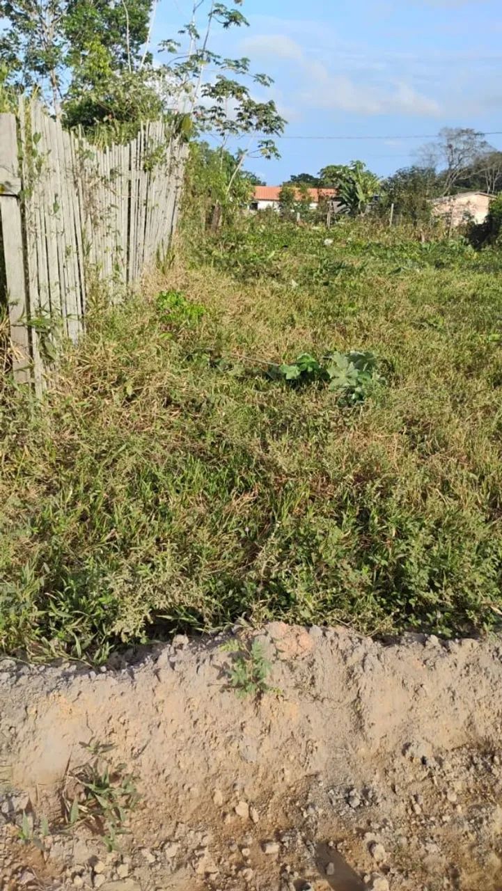 Vendo:baratinho pra vender logo. - Foto 3