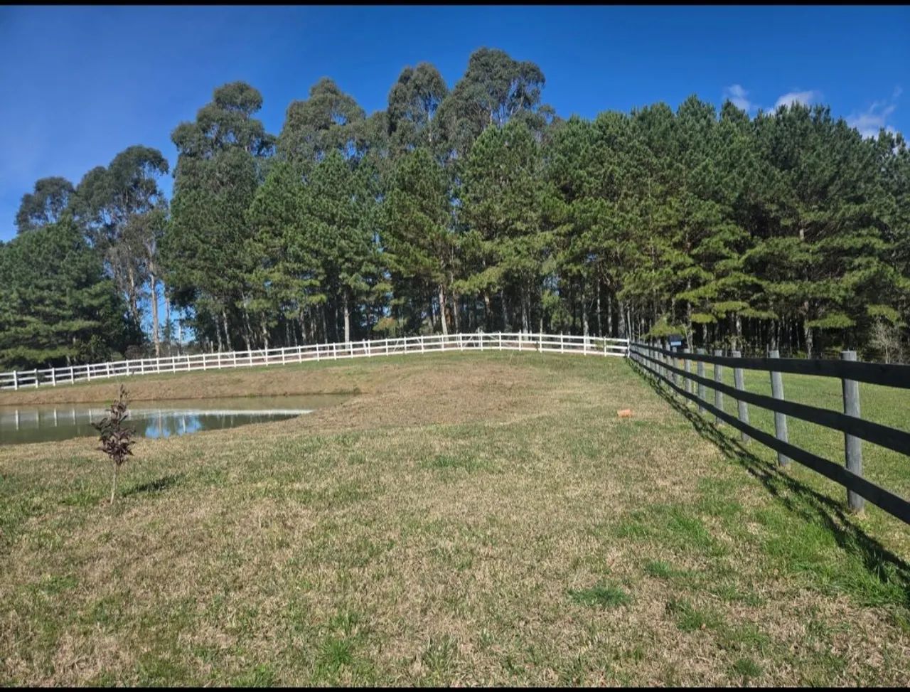 Melhor  terreno  de  alfredo wagner  - Foto 4