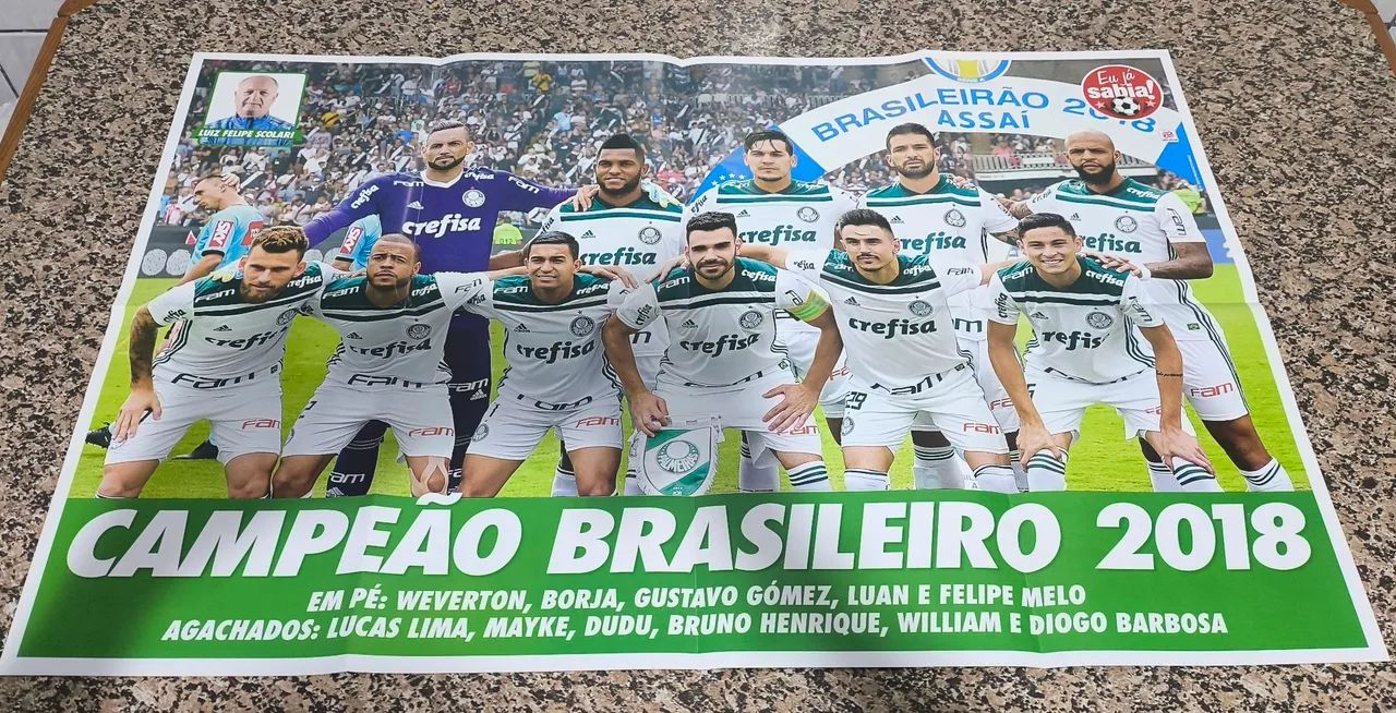 Poster Palmeiras Brasileirão 2018 - Foto 3
