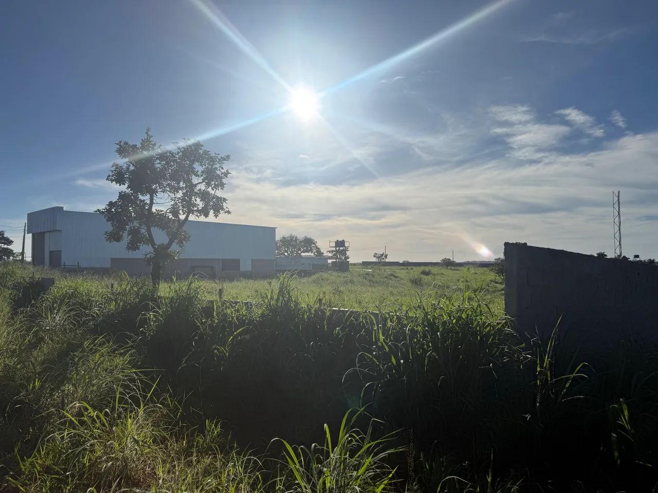 Foto - Brasília - St Leste