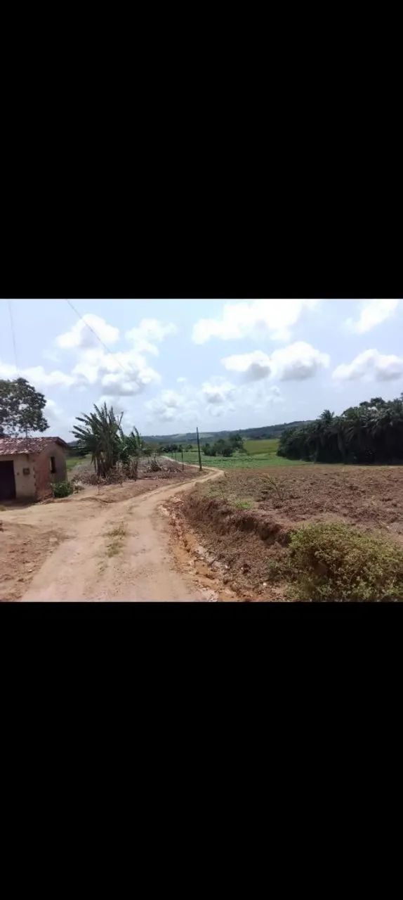 GRAJA EM PRÓXIMO HÁ ALHANDRA - Foto 2