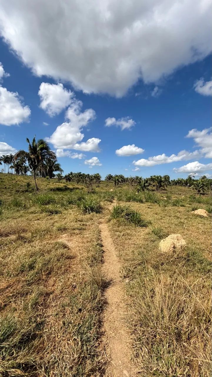 Vende-se Chácara de 6 Alqueires  - Foto 3