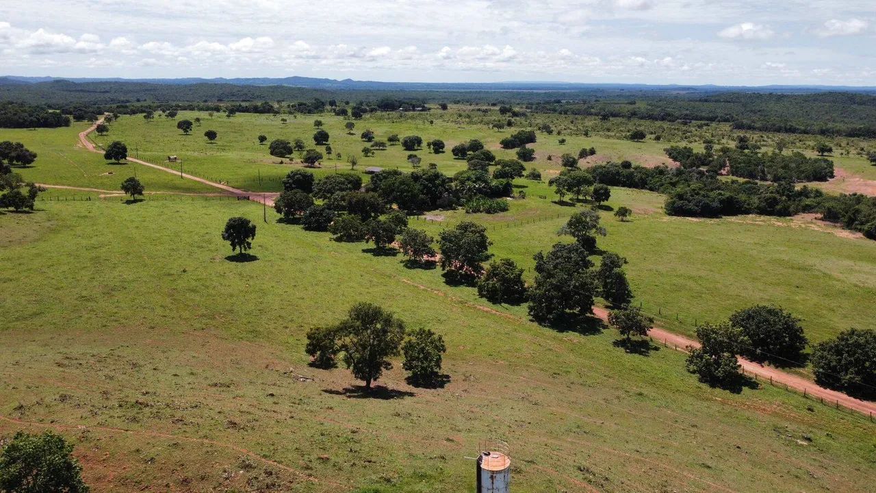 Fazenda a 37 km de Nova Xavantina - Foto 5