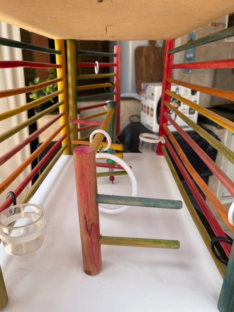 Caixa de Transporte para Pássaro/Calopsita - Foto 5