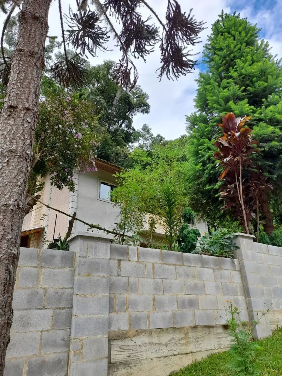 Casa em Angelina  - Foto 3