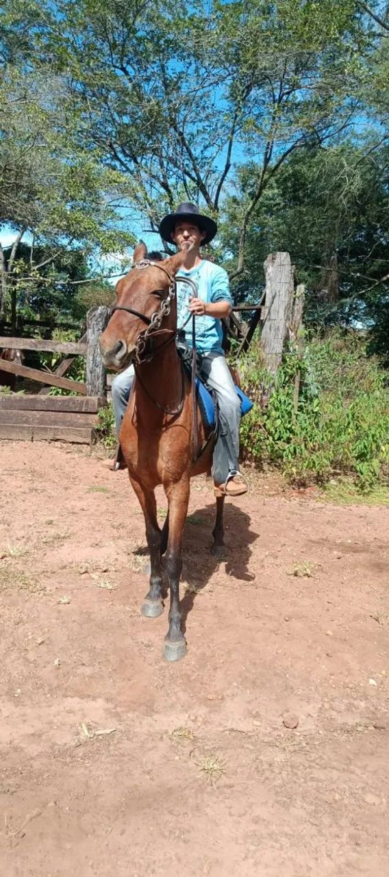 Vende se uma égua mansa de arreio.... - Foto 2