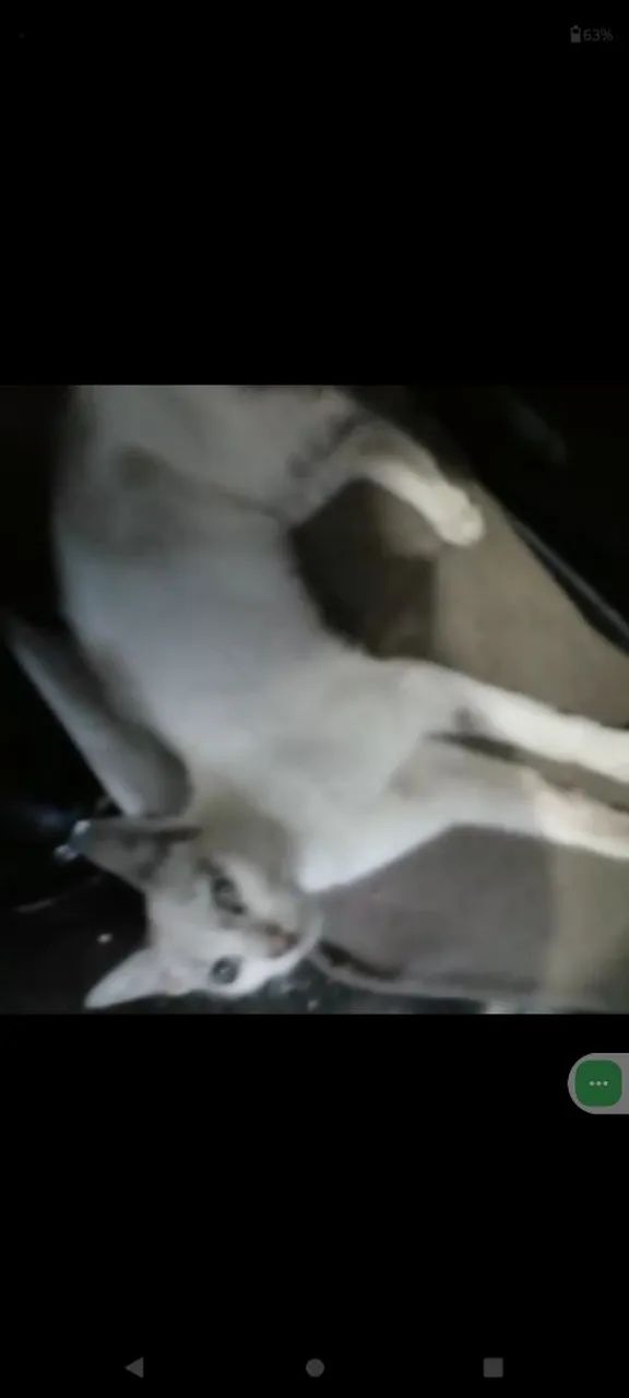 Abandonada  - Foto 3