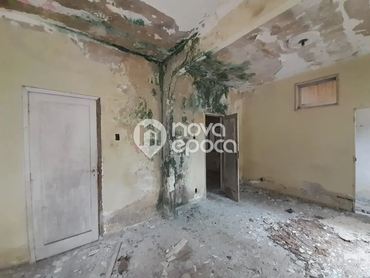 Todos os Santos | Terreno - Foto 4