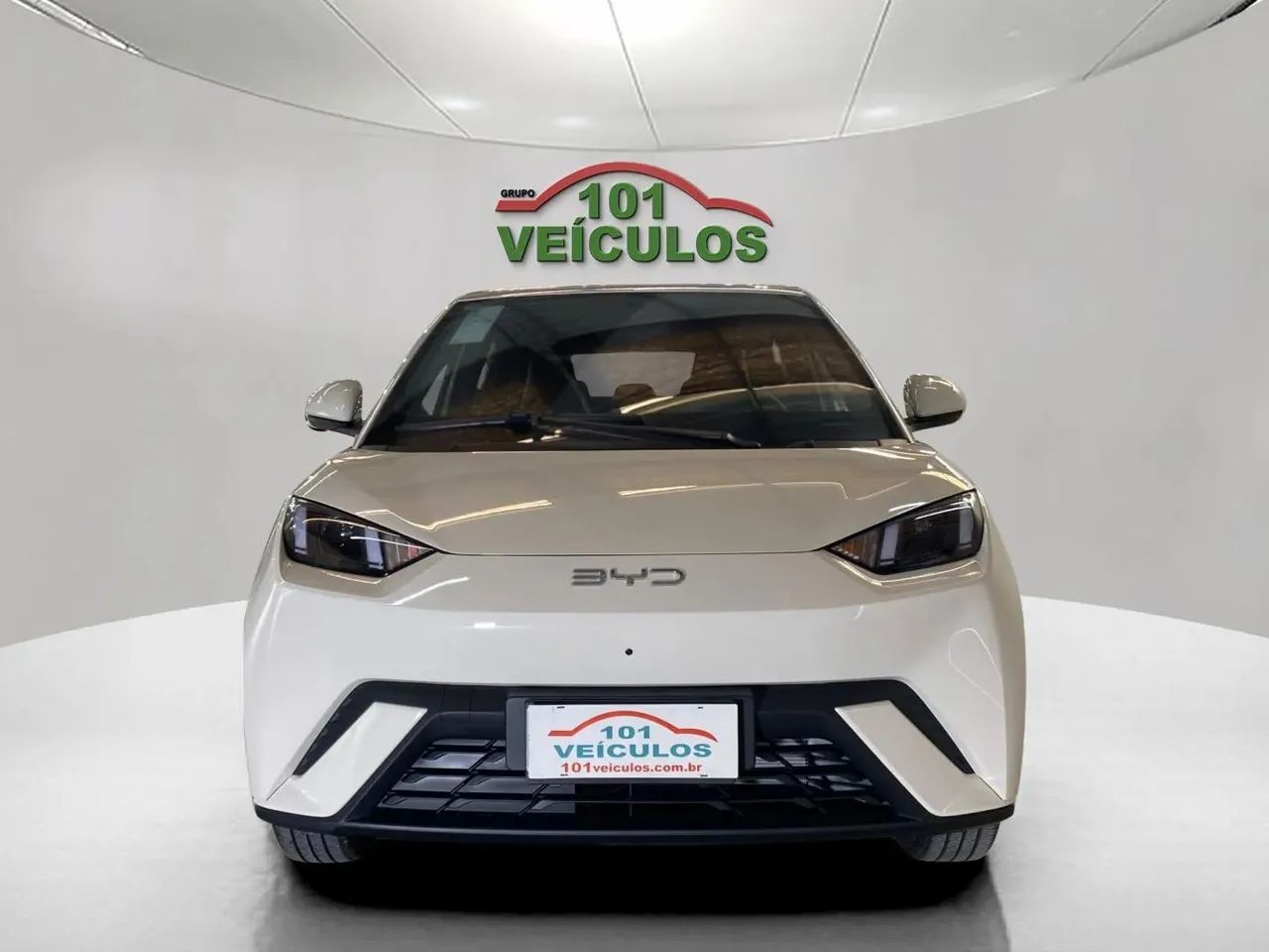 BYD Dolphin GS (Elétrico) 2027 - Foto 2