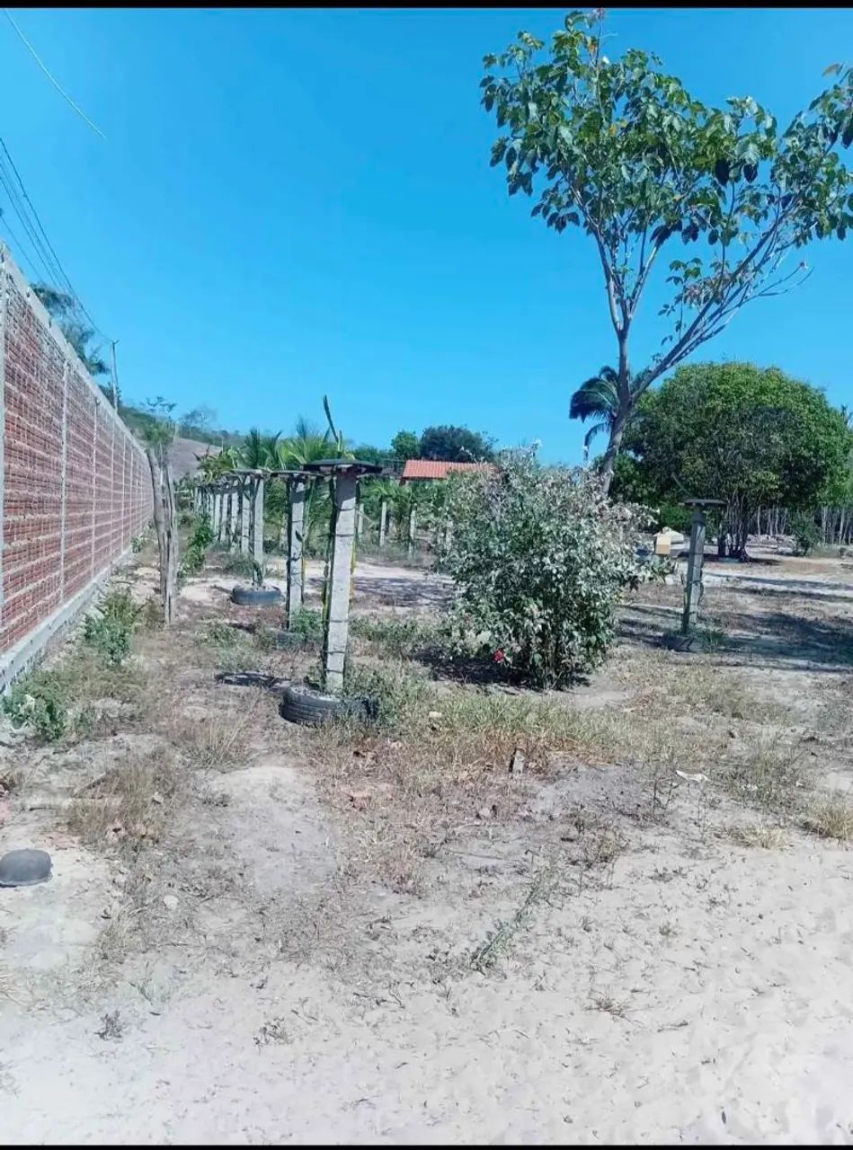  Sitio Serra do Coroatá - Foto 3