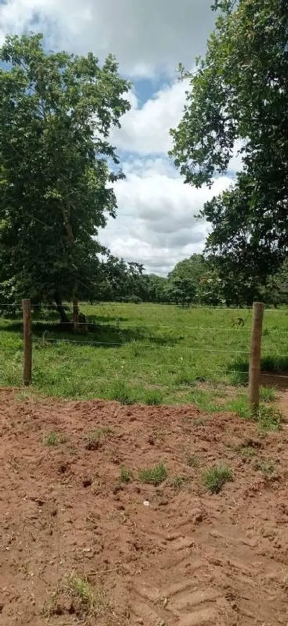 Vende-se 2,4 alqueires - Britânia - Go - Foto 4