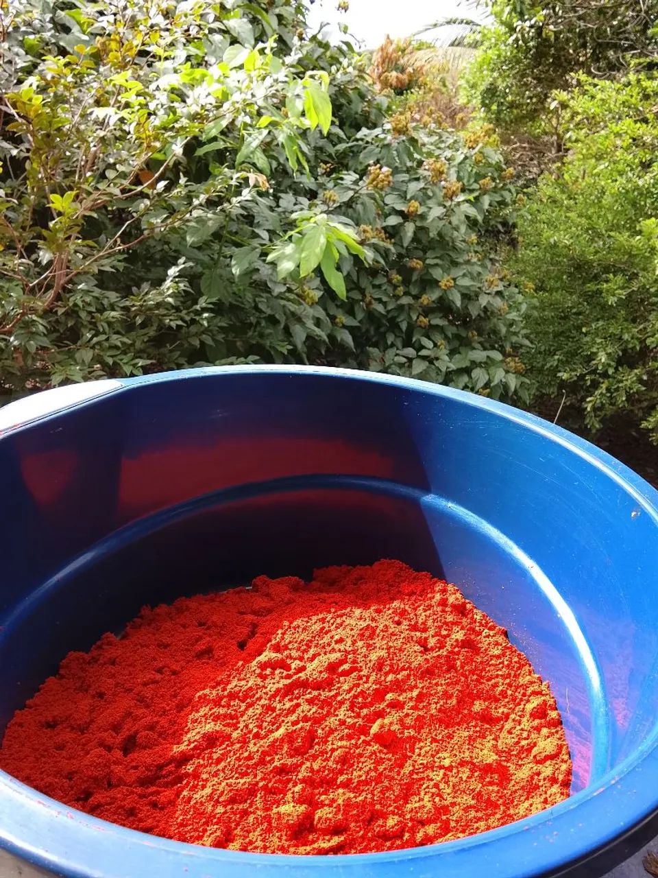 Vendo Colorau Natural da Roça  - Foto 4