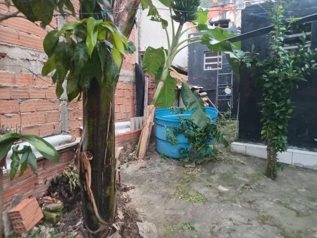 Casa na viela 