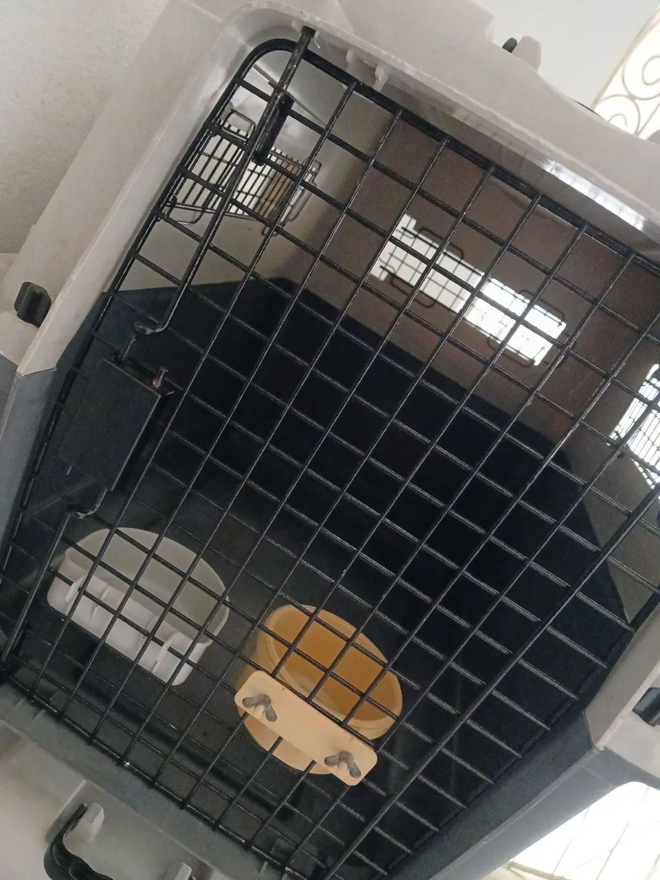 CASA DE CACHORRO - Foto 2