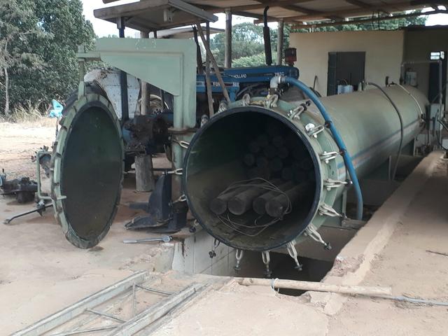 Eucalipto Tratado - Foto 4