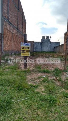 Terreno à venda em Jardim leopoldina, Porto alegre cod:150183 - Foto 3