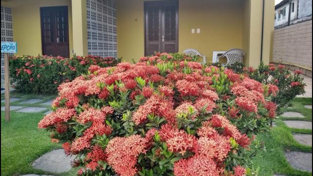 Venda de Pousada em Maracaipe- Próximo a Porto- Preço e oportunidade!! - Foto 10