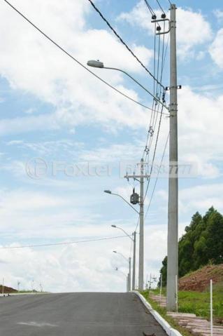 Loteamento/condomínio à venda em Morro santana, Porto alegre cod:160027 - Foto 5