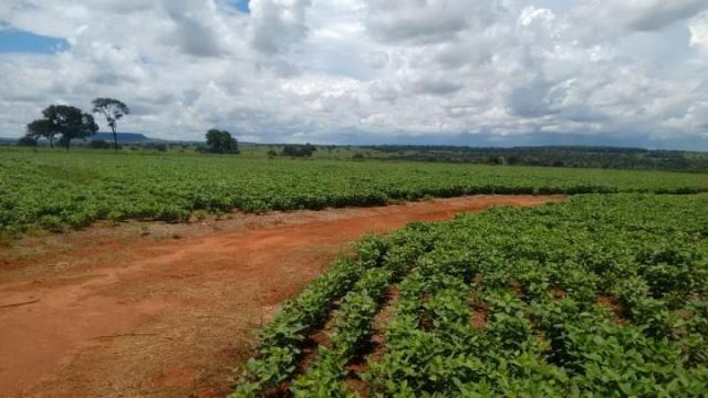 Sítio para venda em batatais, rural - Foto 5