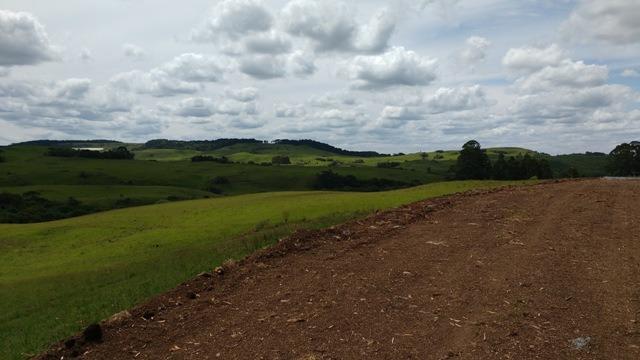 Chácara 3,0 Ha Apanhador - Foto 7