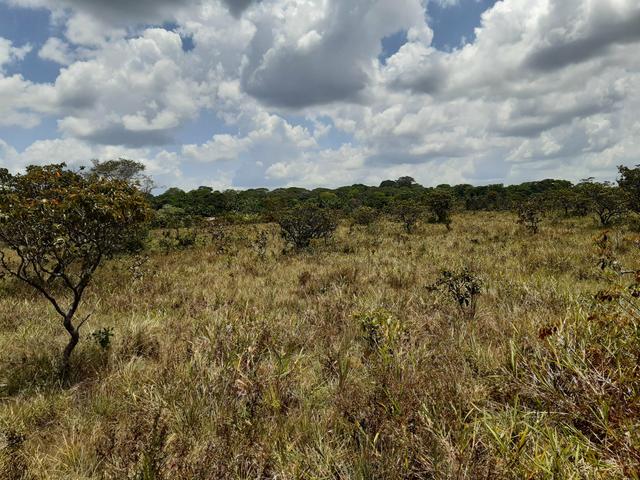 Vende-se área rural no amapá - Foto 5