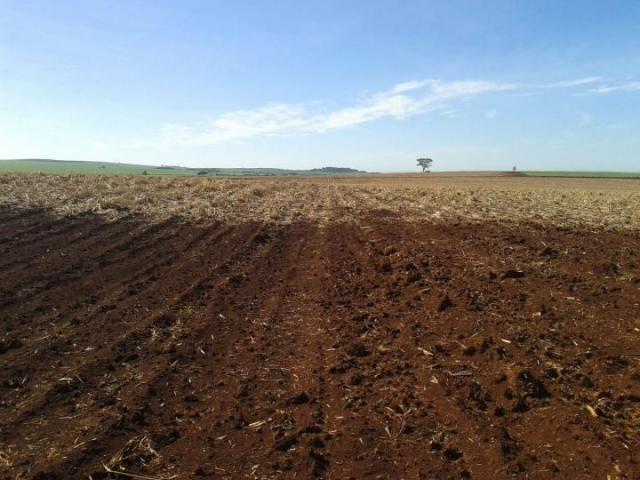 Sítio para venda em batatais, rural - Foto 11