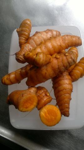 Cúrcuma ( açafrão da terra ) - Foto 5