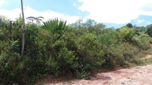 Terreno à venda em Residencial ilhéus, Juatuba cod:TE00019 - Foto 9