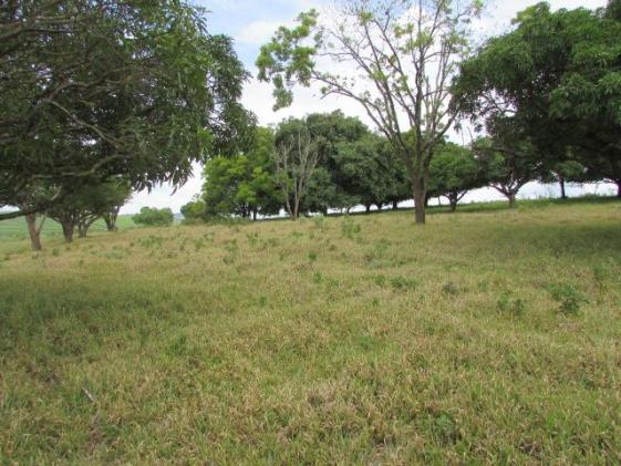 Fazenda para Venda em Alfenas, Rural - Foto 9