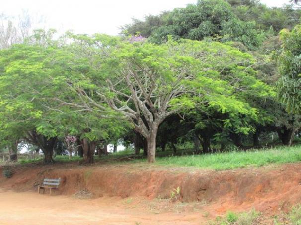 Fazenda para Venda em Alfenas, Rural - Foto 20