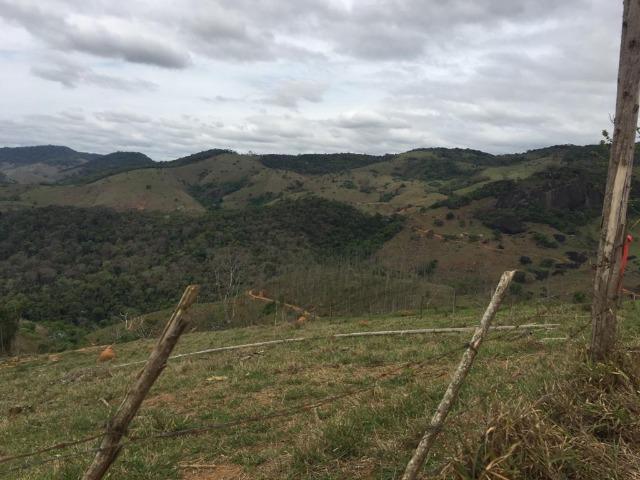 Venda-se está fazenda de 250 alqueires no Município de Fervedouro/MG - Foto 4