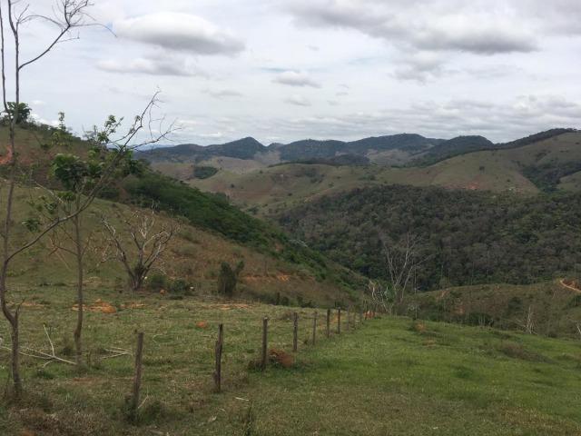 Venda-se está fazenda de 250 alqueires no Município de Fervedouro/MG - Foto 5