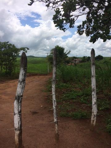 Fazenda-Granja-Sítio com 21 Hectares em Aliança - Foto 18