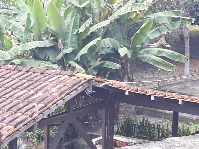 Barbada!!! Vendemos Lotes em Uma Belíssima Chacara em Benevides, Pará - Foto 14