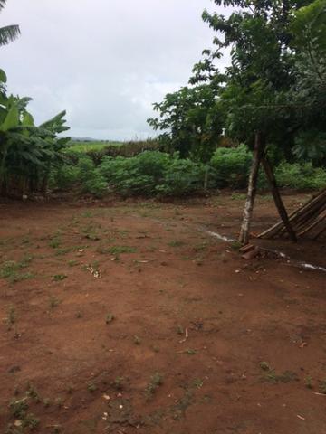 Fazenda-Granja-Sítio com 21 Hectares em Aliança - Foto 8