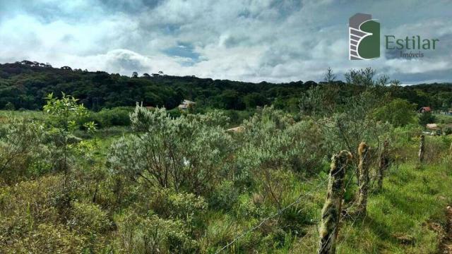 Chácara no curralinho em são josé dos pinhais. - Foto 9